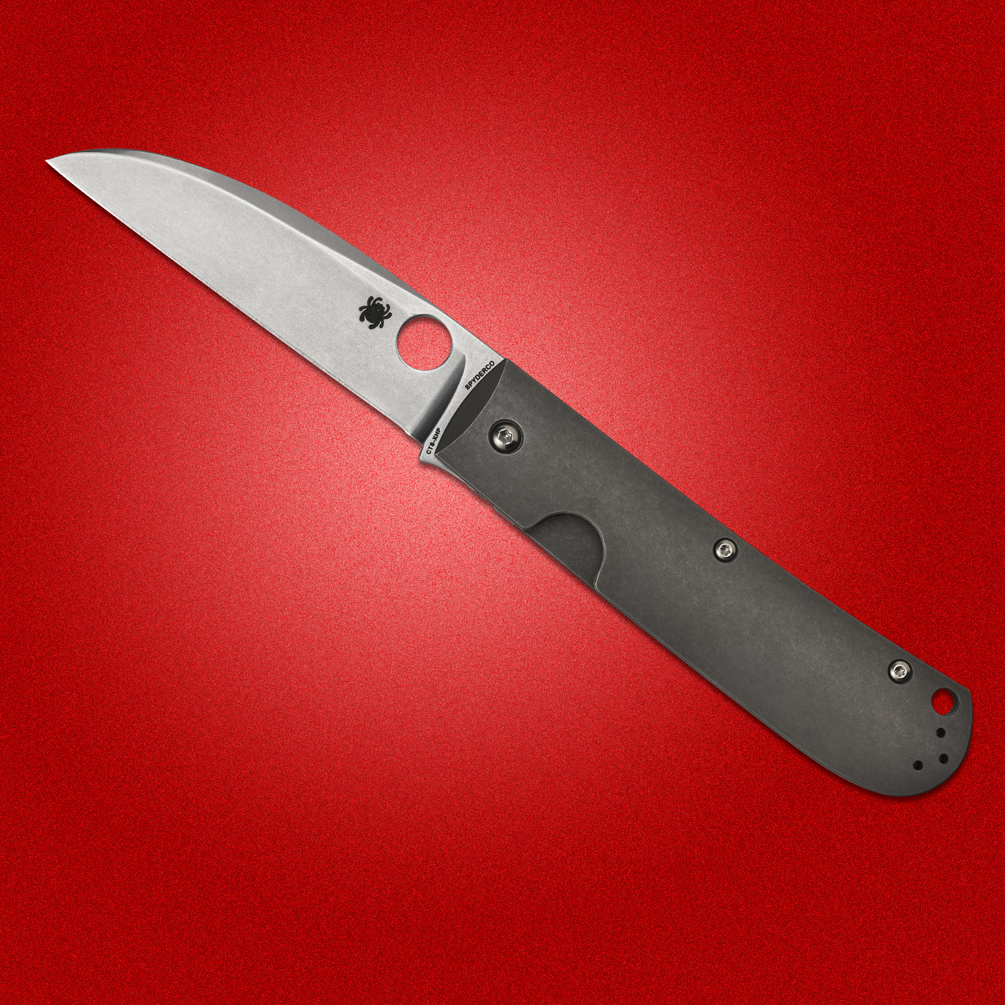 Spyderco Reveal 5 2020