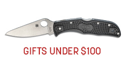 Gifts Under 100 Dollars