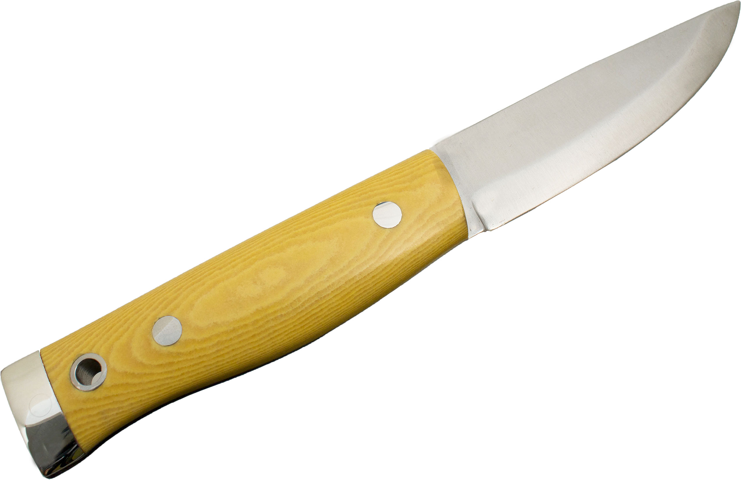 American Knife Company Compact Forest Fixed 3.875" Blade, Antique Ivory