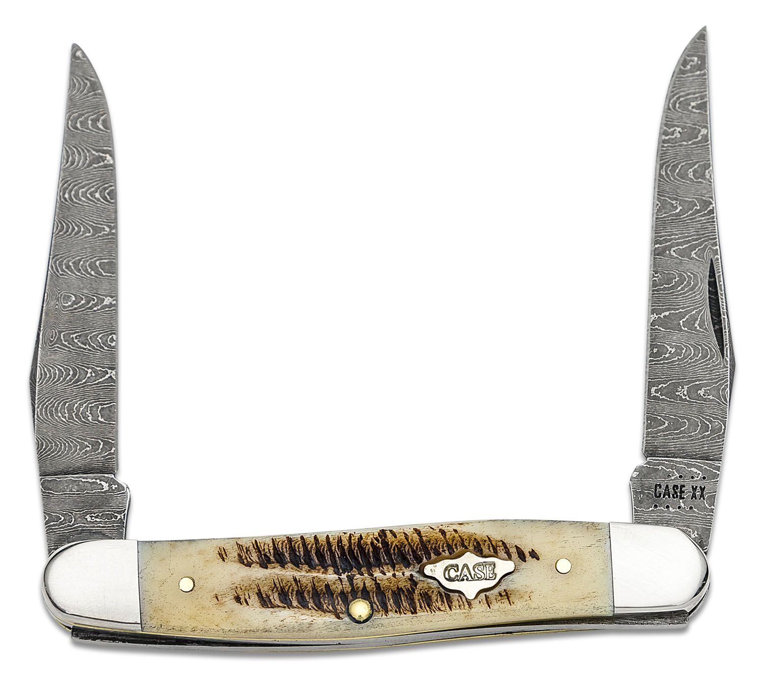 Masi Coltello 直接引き取り希望 即購入不可 フレームセット Masi Coltello 直接引き取り希望 即購入不可 フレームセット Masi