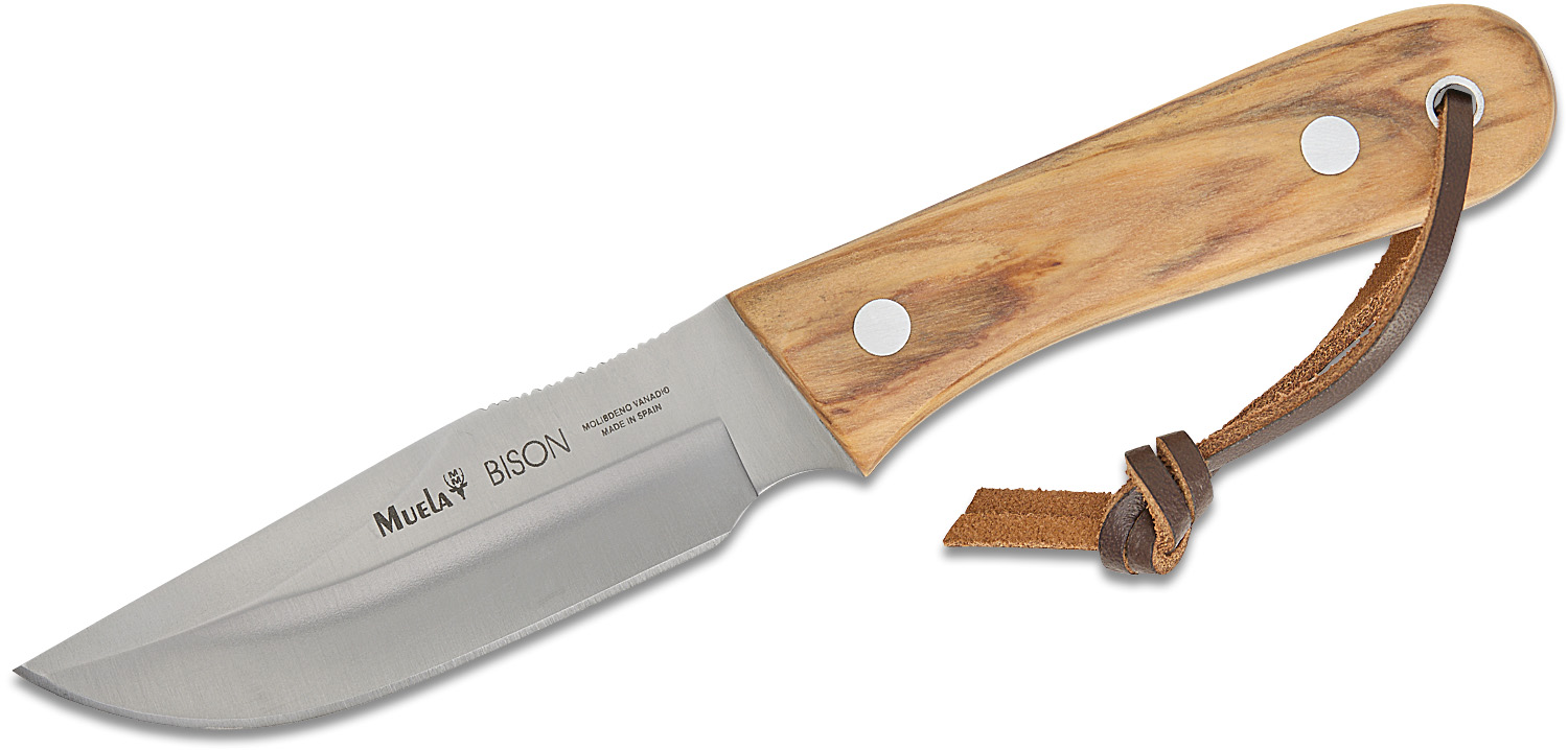 Muela Bison Olive Fixed Blade Knife 3.5